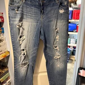 Torrid jeans